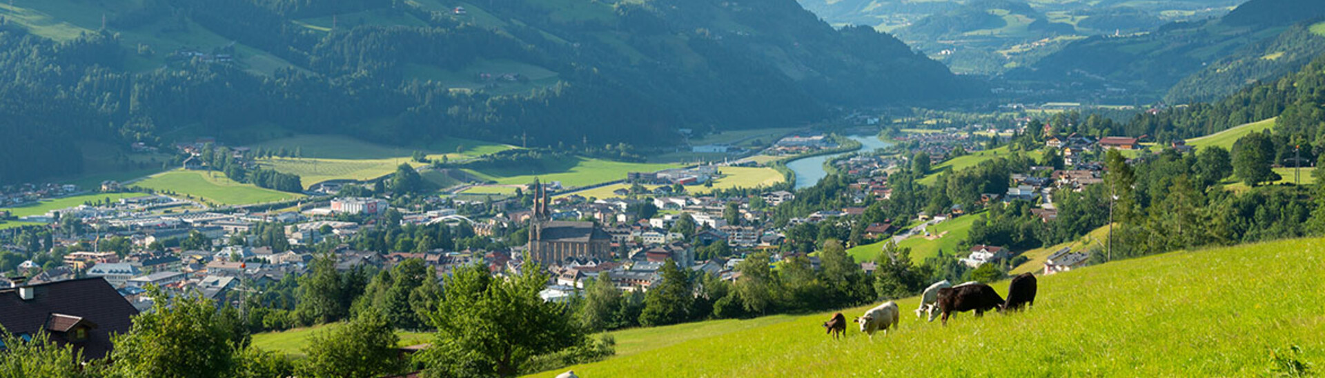 St. Johann Panorama Pasture & City